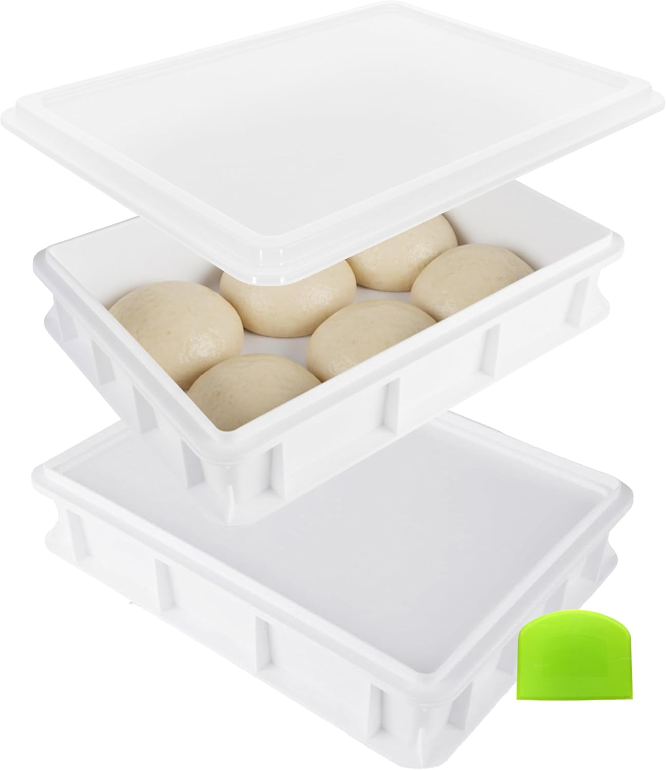 Bacs à pâtons translucides ouverts avec pâtons de pizza et coupe-pâte vert